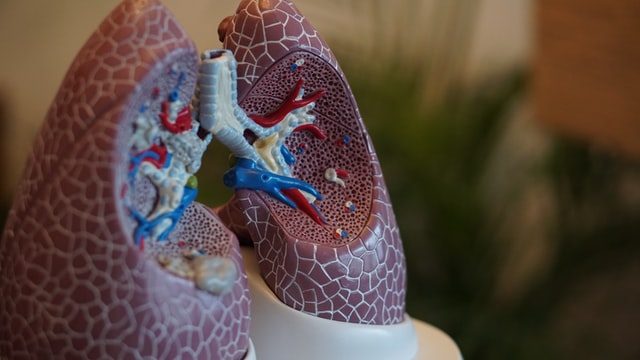 Home remedies for healthy lungs