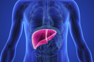 healthroom  Liver Disease